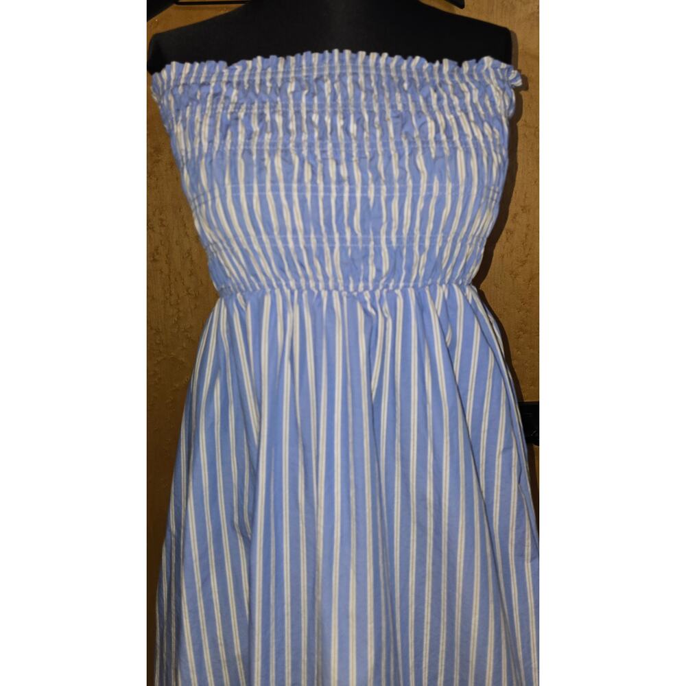 Windsor Strapless Dress (Size Medium)